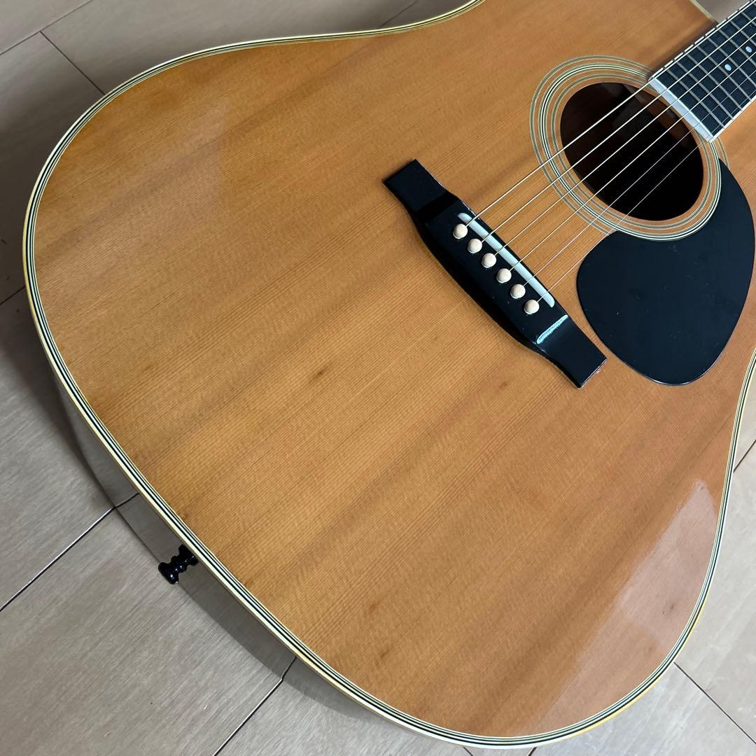 ぴょんたんCat's Eyas CE-200 東海楽器工房