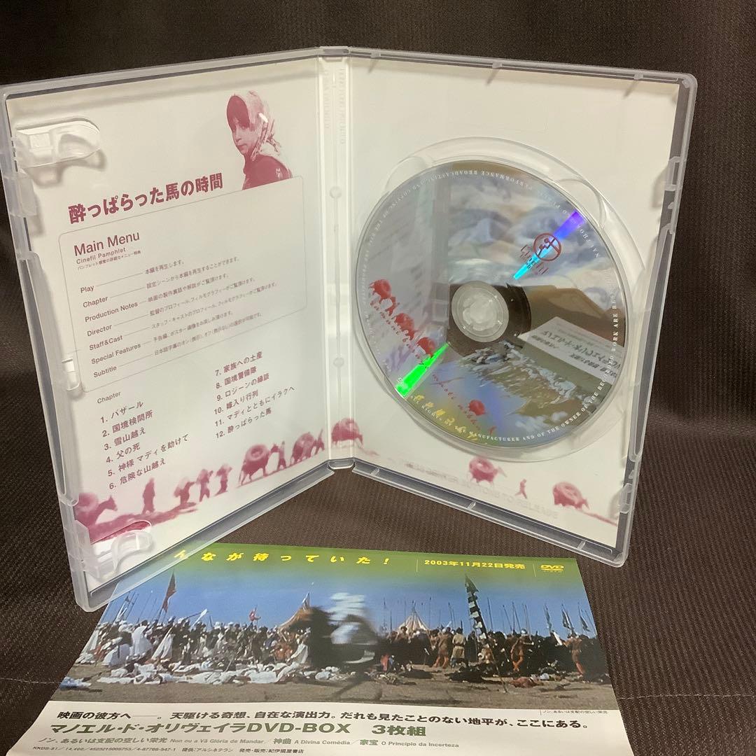 【廃盤】『バフマン・ゴバディ DVD-BOX』『酔っぱらった馬の時間』(DVD)