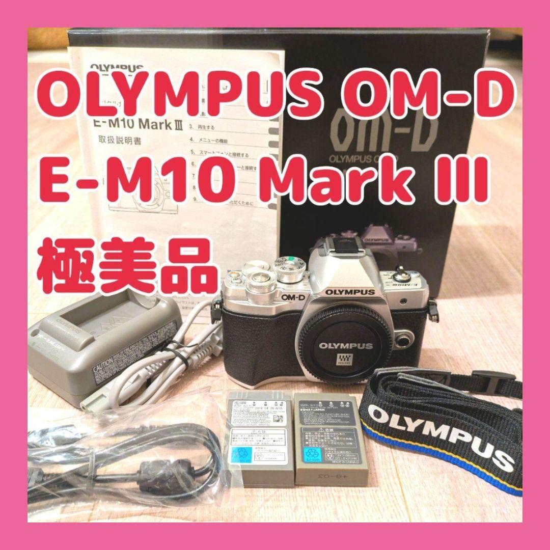 【値下げ中】【おまけ付き】OLYMPUS OM-D E-M10 Mark III