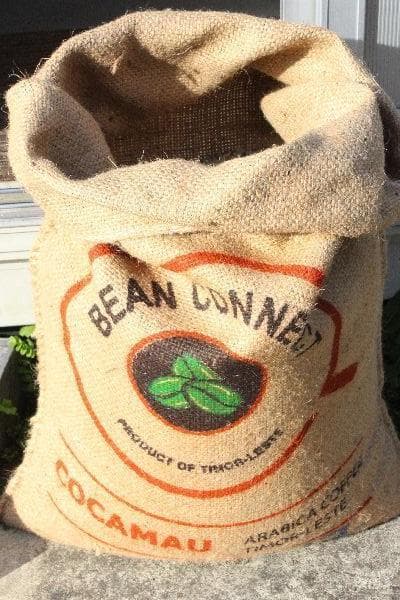 ★特売品★東ティモール、有機栽培の生豆★8㎏