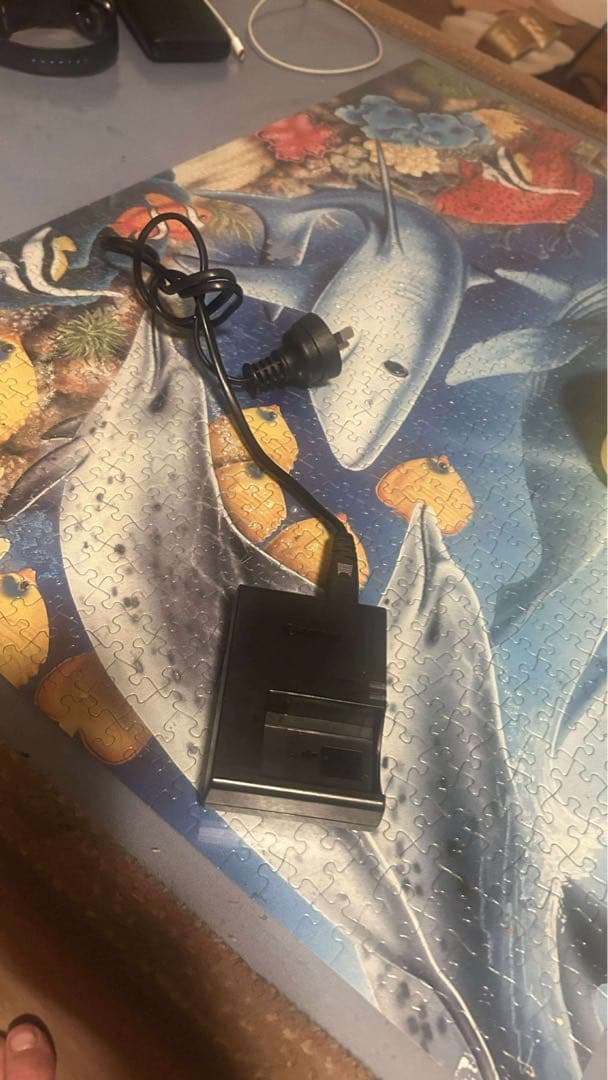 Canon EOS R10 ミラーレス一眼カメラ SDカード　128GB