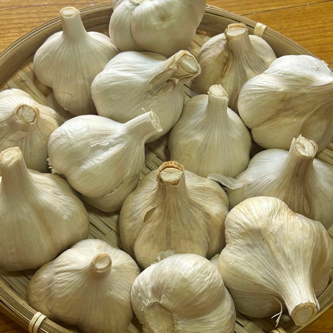 【大特価】青森県産 にんにく M 5kg 福地ホワイト 免疫力アップ 激安