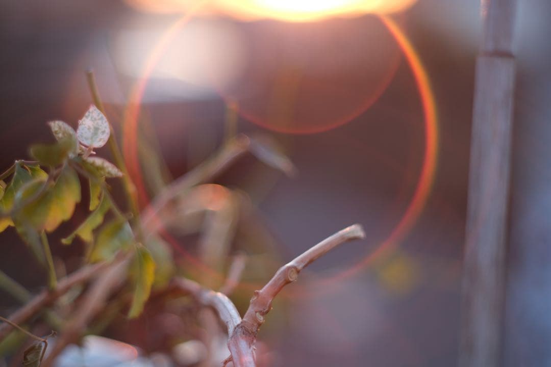 美品　super takumar 55mm f1.8 オールドレンズ
