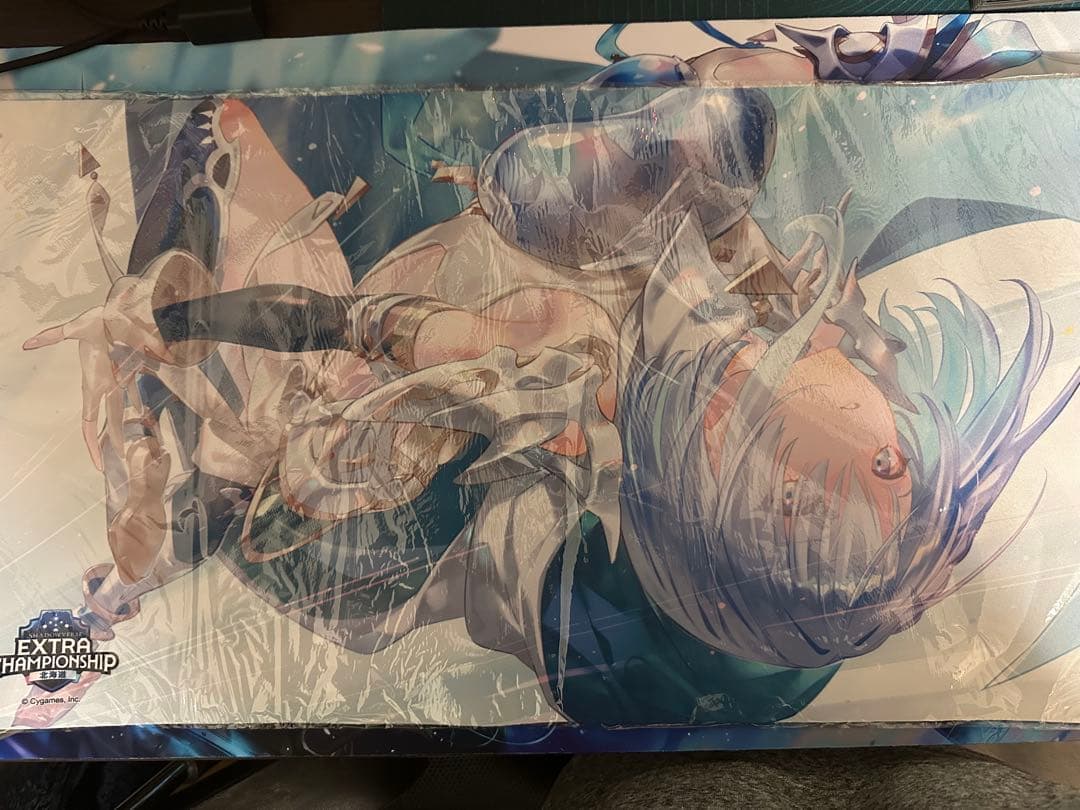 ShadowverseWB 北海道大会 ラバーマット ドライツェーン