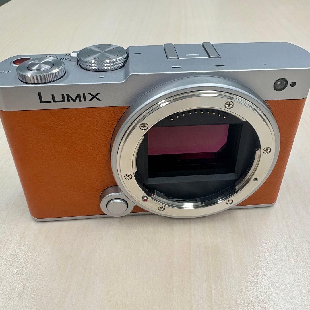 未使用級 Panasonic LUMIX S9 オレンジ18-40mm バッグ