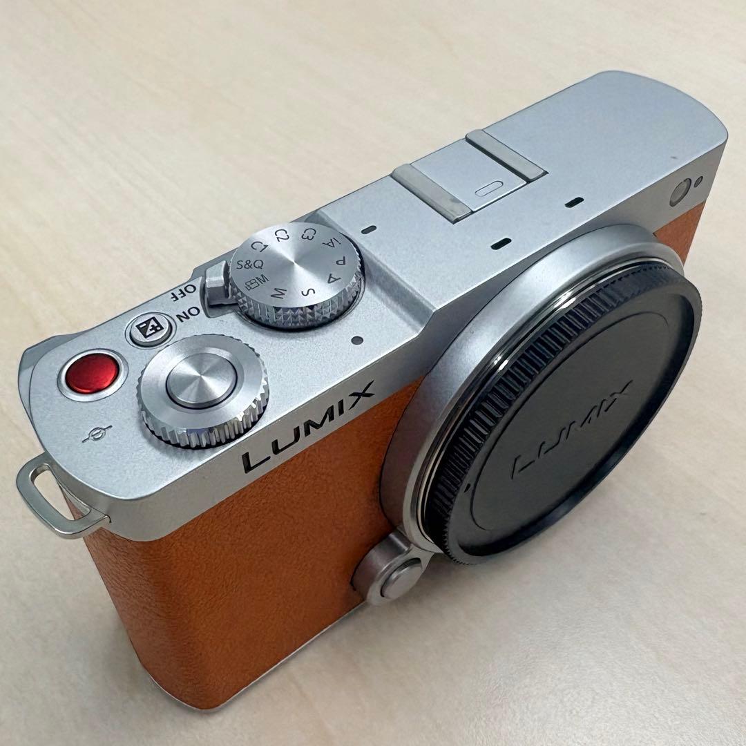 未使用級 Panasonic LUMIX S9 オレンジ18-40mm バッグ