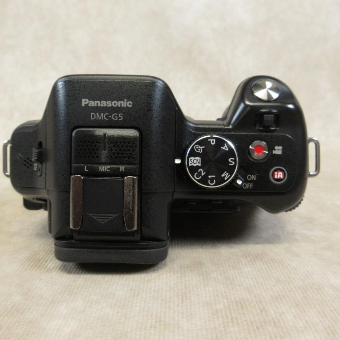 Panasonic LUMIX DMC-G5 ボディ ミラーレス一眼カメラ