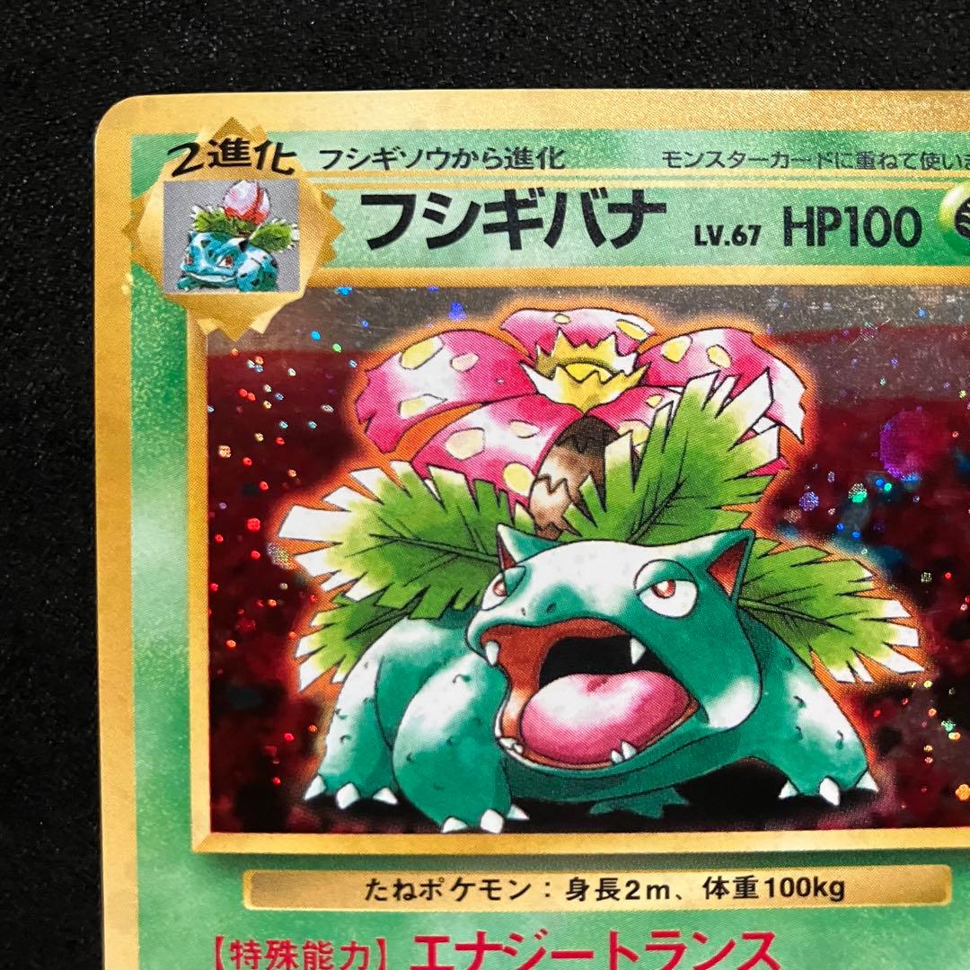 準美品　旧裏　ポケモンカード　イントロパック　フシギバナ