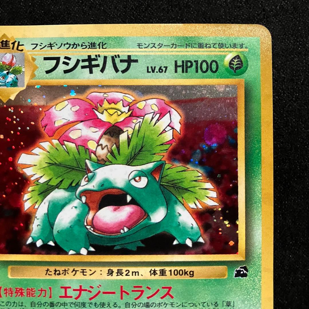 準美品　旧裏　ポケモンカード　イントロパック　フシギバナ