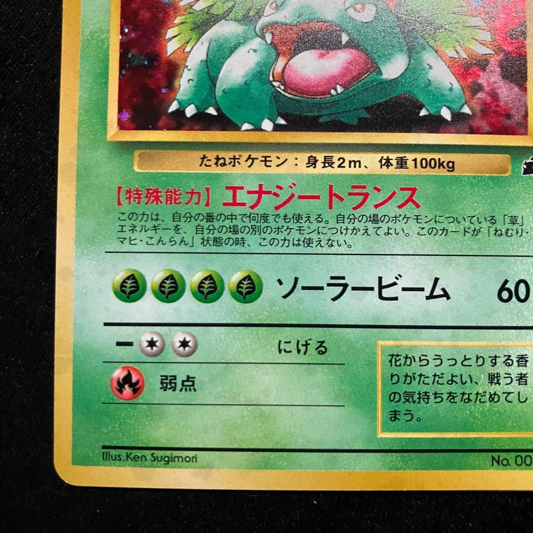 準美品　旧裏　ポケモンカード　イントロパック　フシギバナ