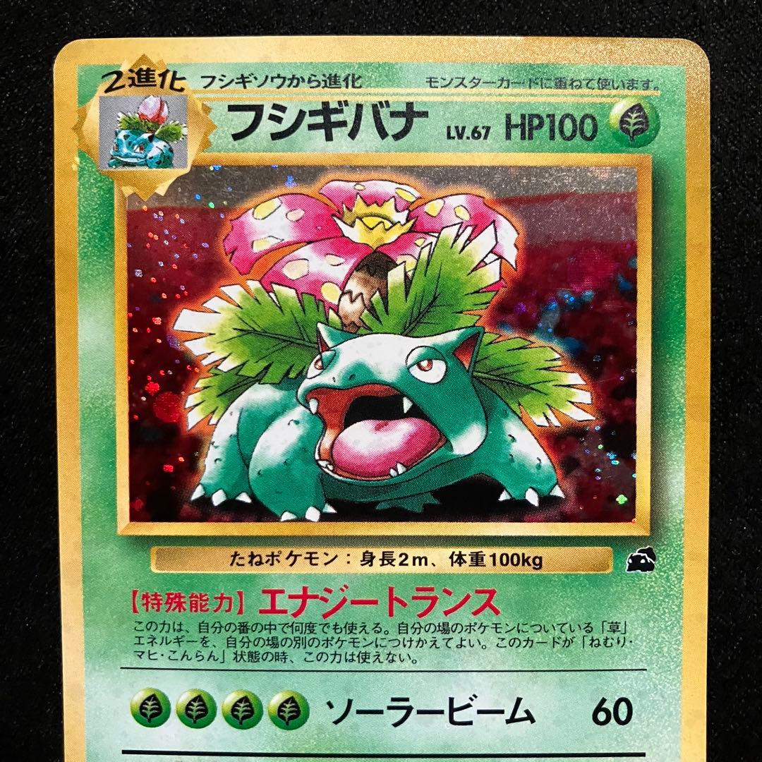 準美品　旧裏　ポケモンカード　イントロパック　フシギバナ