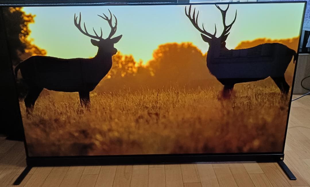 23年製 東芝REGZA 55V型 55X9900L 4K有機ELテレビ