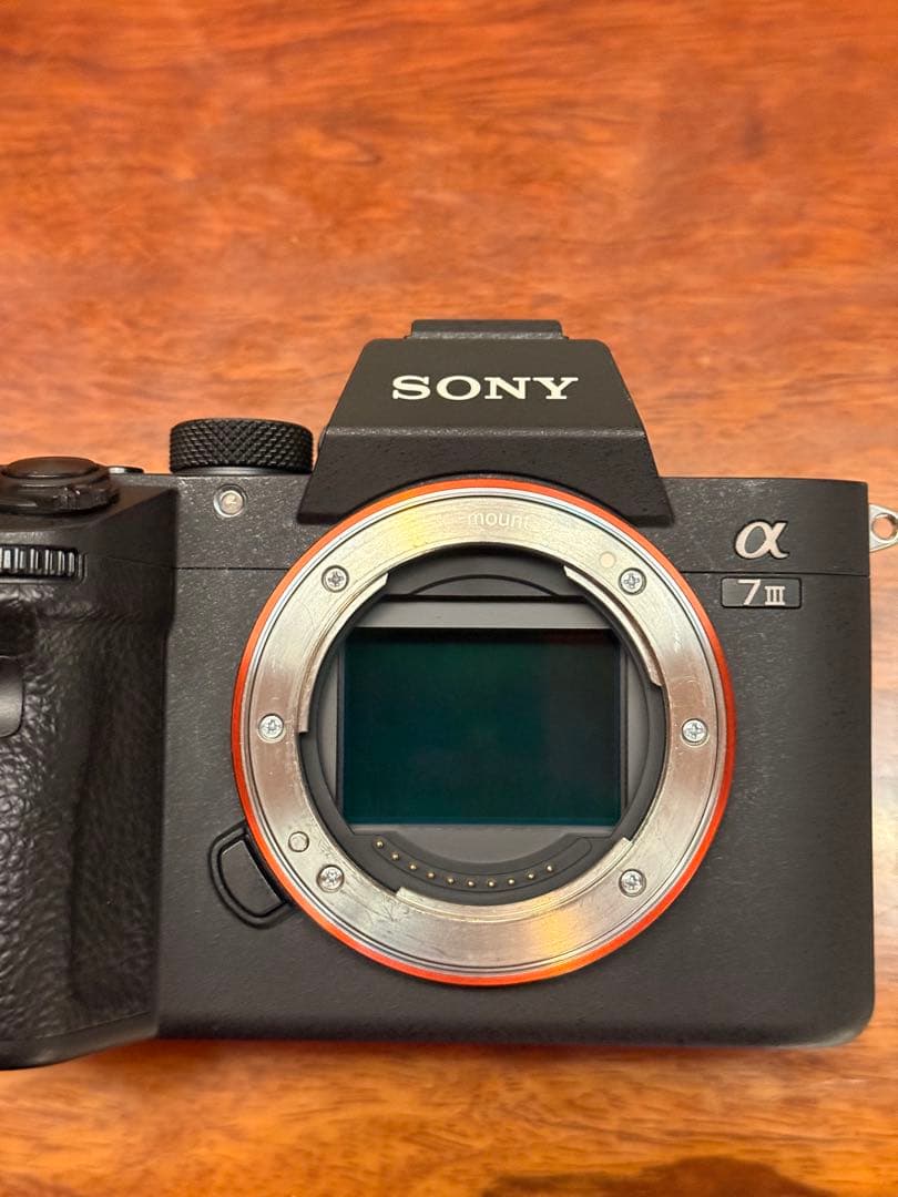 SONY α7III美品 【シャッター数6037回】
