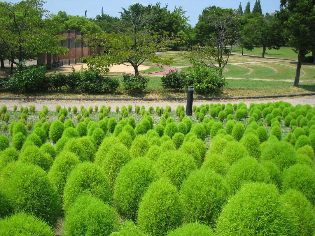 CANON IXY DIGITAL L　シルバー　希少