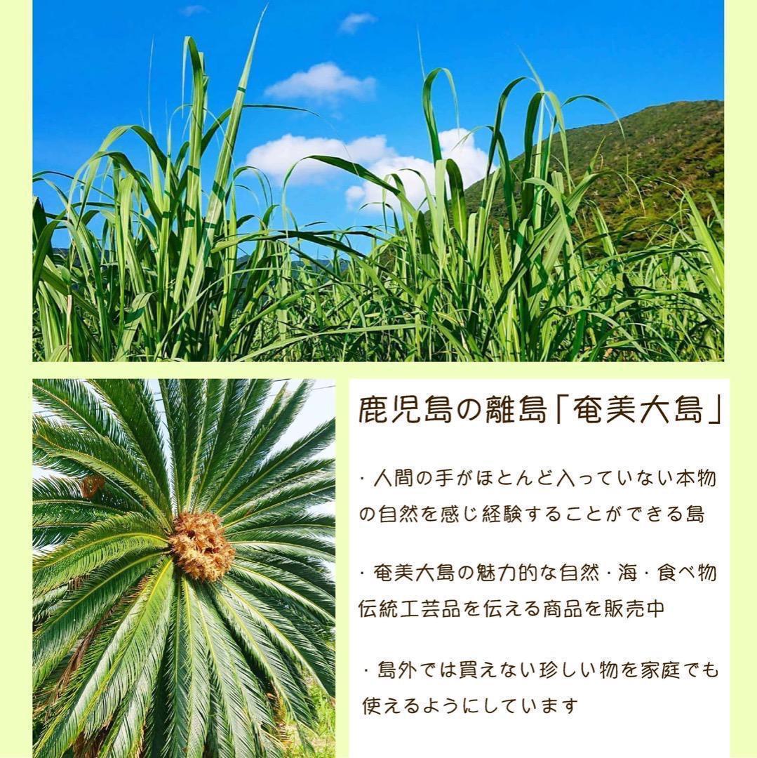 #2 世界自然遺産 奄美大島産 完熟たんかん 10キロ 特産品 加工用 柑橘 旬