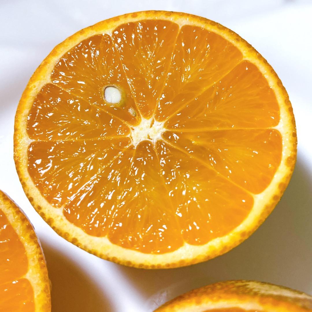 #2 世界自然遺産 奄美大島産 完熟たんかん 10キロ 特産品 加工用 柑橘 旬