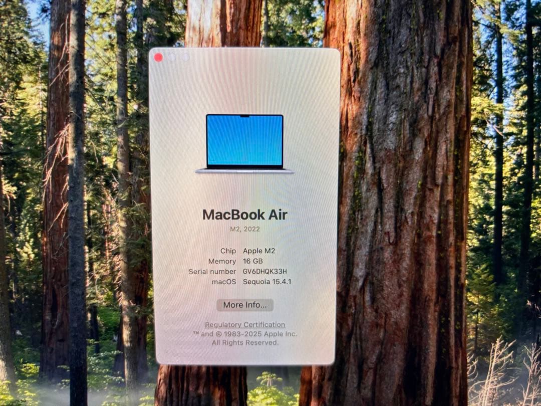 ち*マ様 MacBook Air 2022年 M2 10コア　16GB 256G