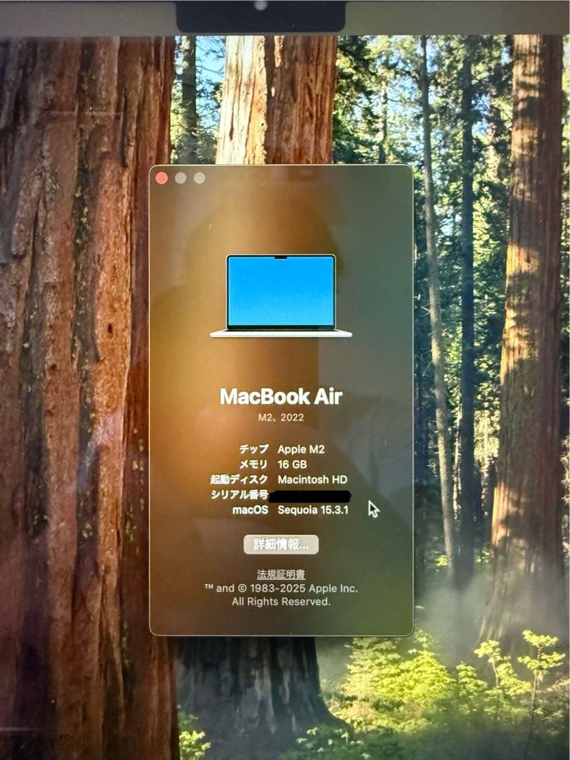 MacBook本体 Apple MacBook Air M2 2022 16GB