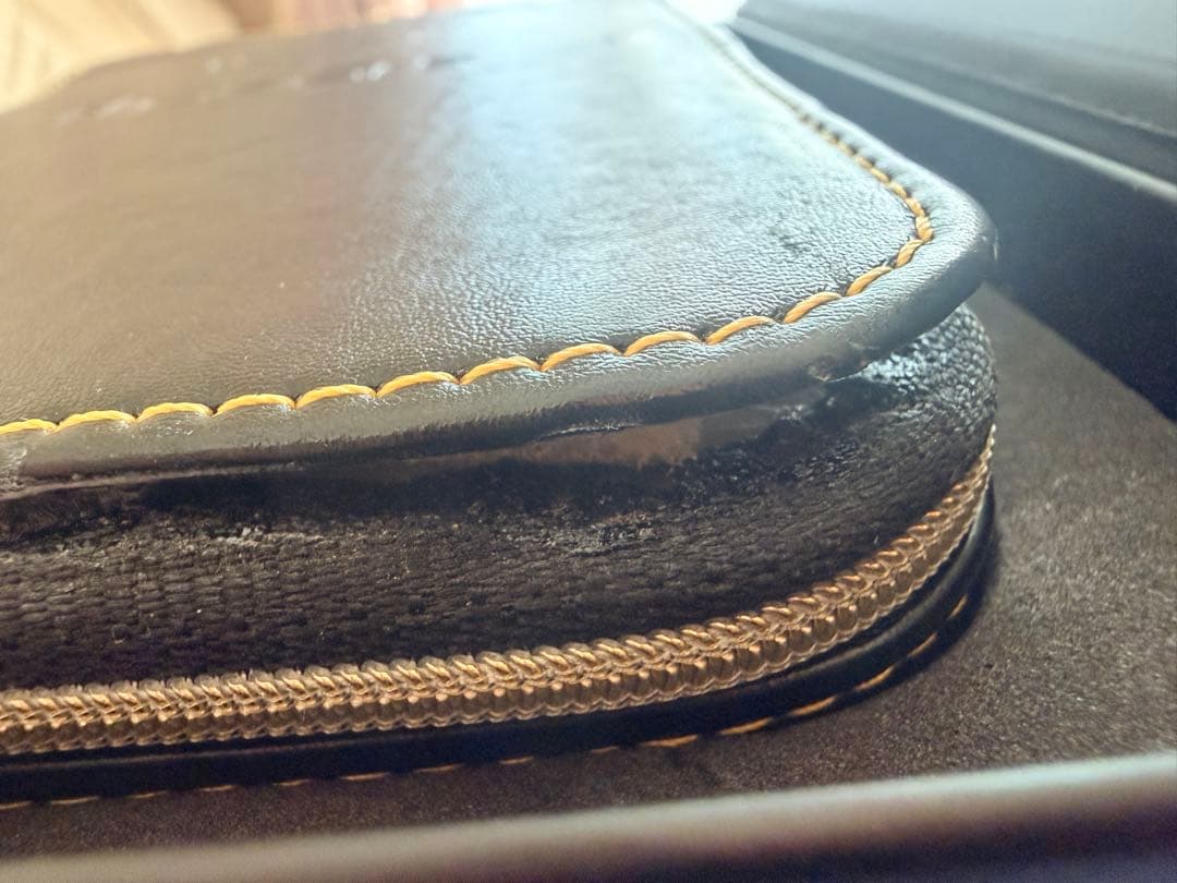 イヤホン Flipears AURORA XXIV (Universal Fit)