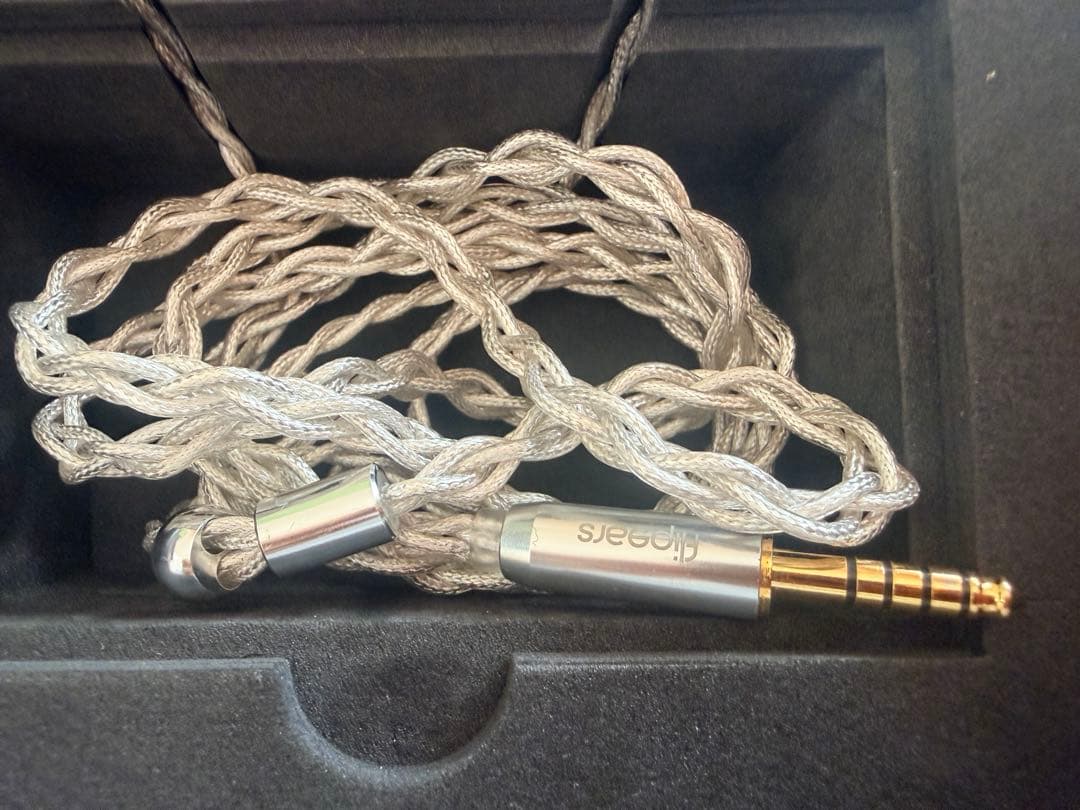 イヤホン Flipears AURORA XXIV (Universal Fit)