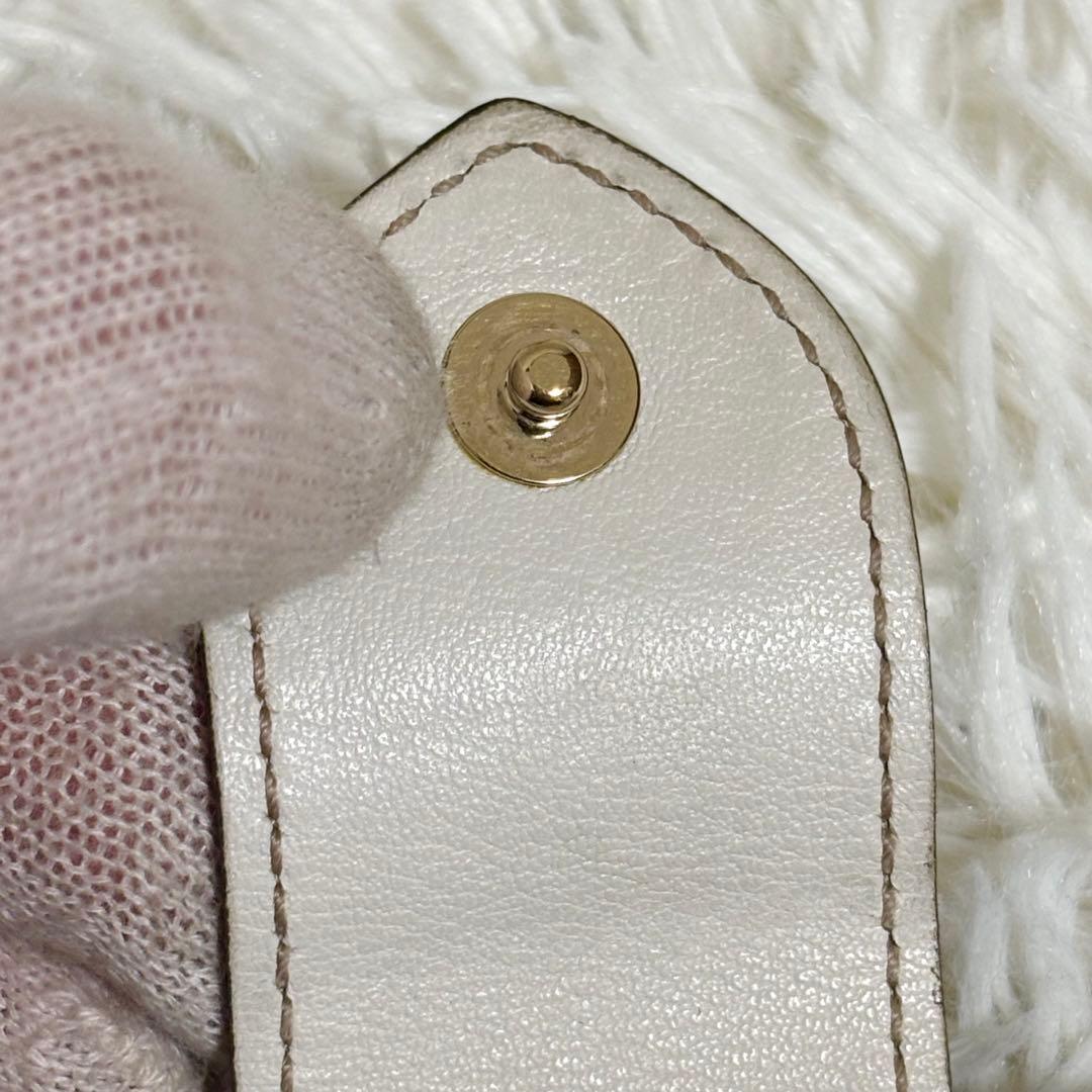 GUCCI GGキャンバス ラブリーハート 長財布 Wホック　白　ロゴ