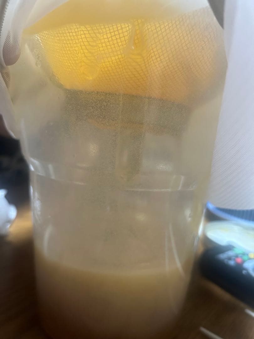 日本蜜蜂のハチミツ