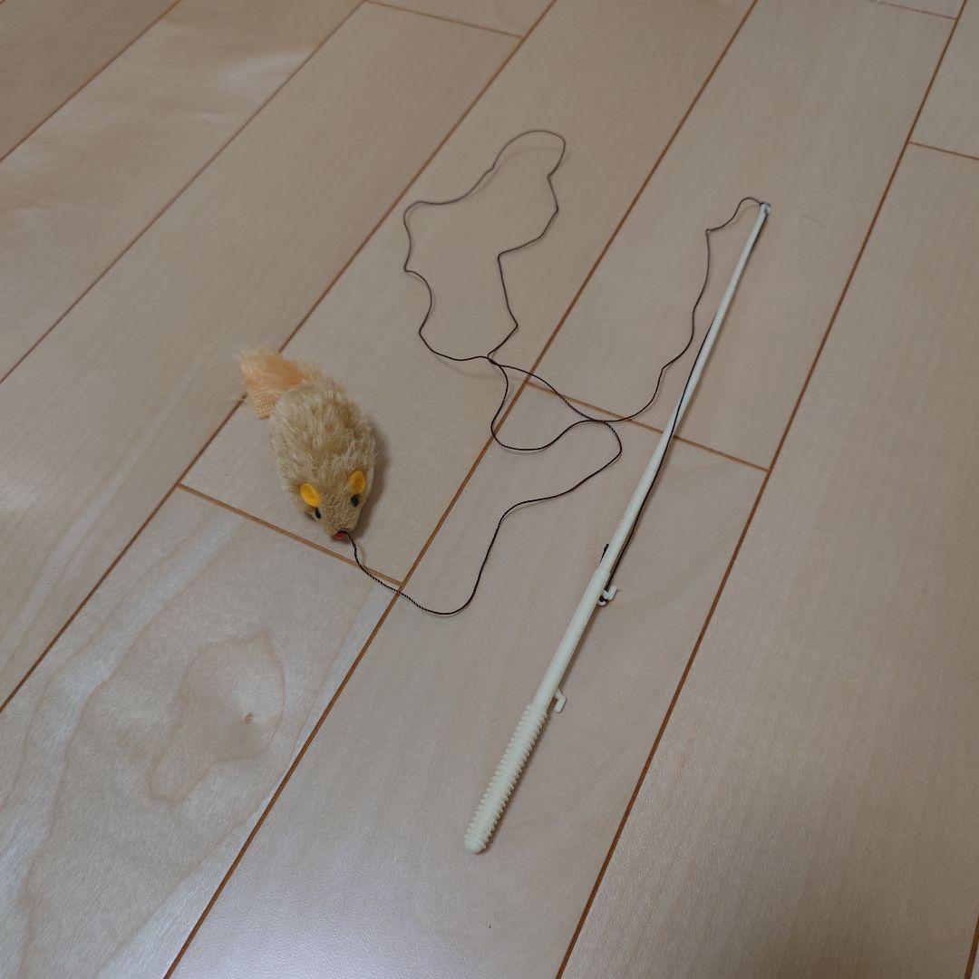 猫　子猫　飼育セット　猫グッズ