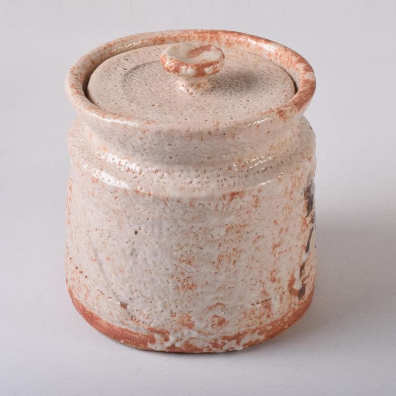 茶道具　本阿弥光仙作　志野焼　絵志野　山水文　水指　共箱　C　7514