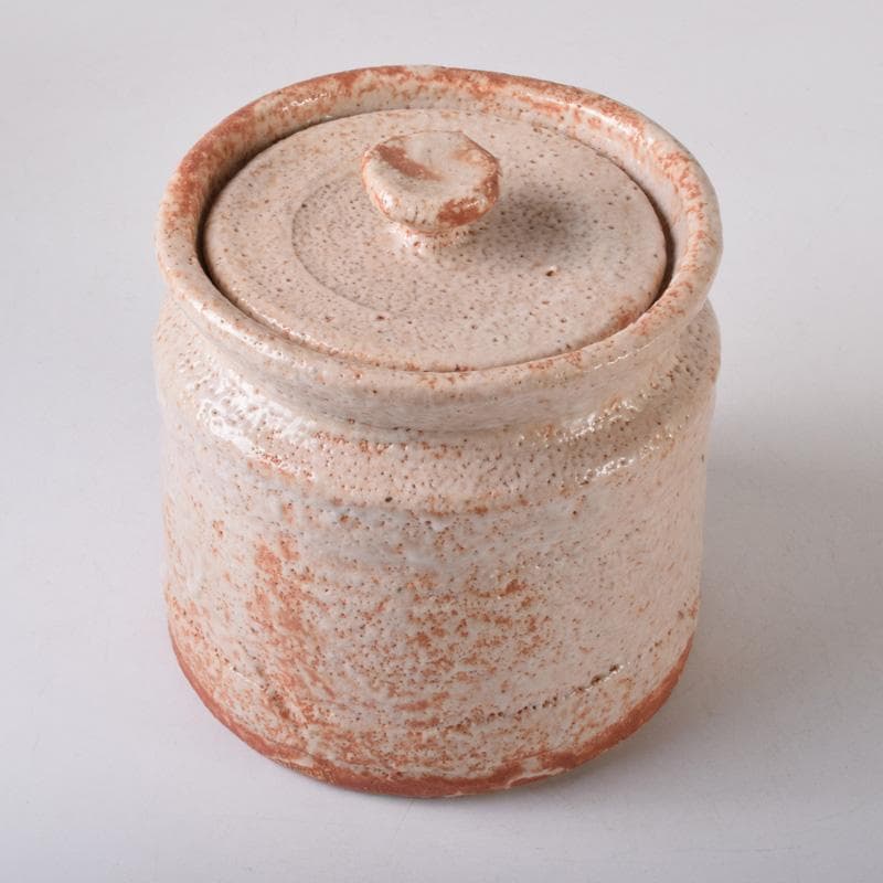 茶道具　本阿弥光仙作　志野焼　絵志野　山水文　水指　共箱　C　7514