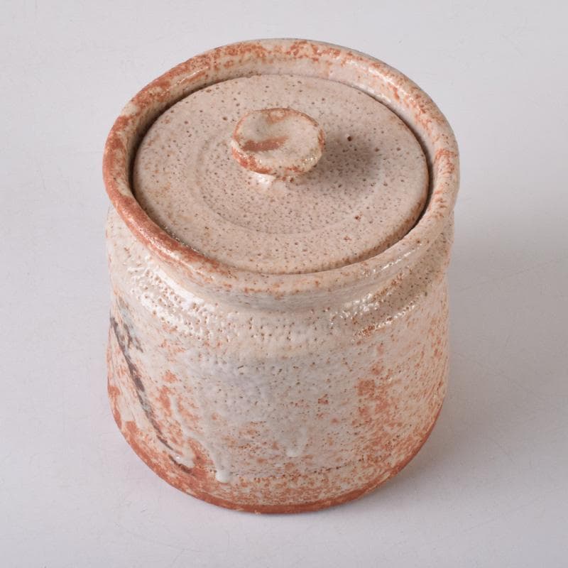 茶道具　本阿弥光仙作　志野焼　絵志野　山水文　水指　共箱　C　7514