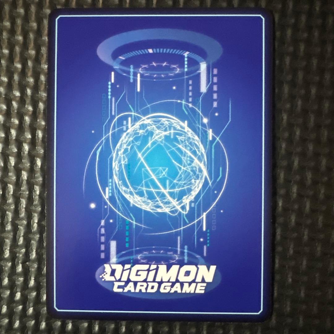 御島エリカ パラレル SP 希少