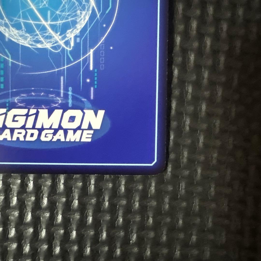 御島エリカ パラレル SP 希少