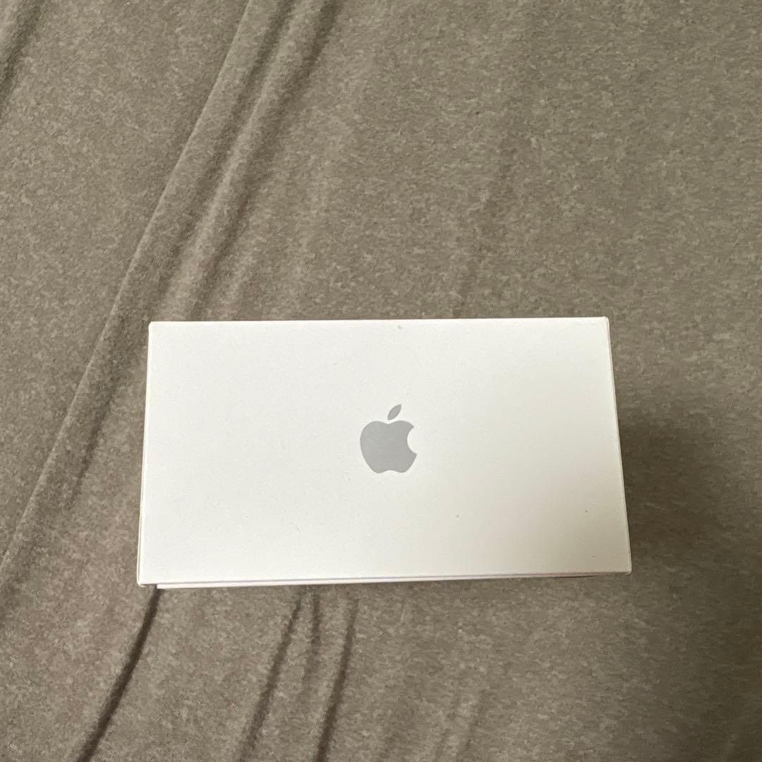 Apple AirPods Pro 本体