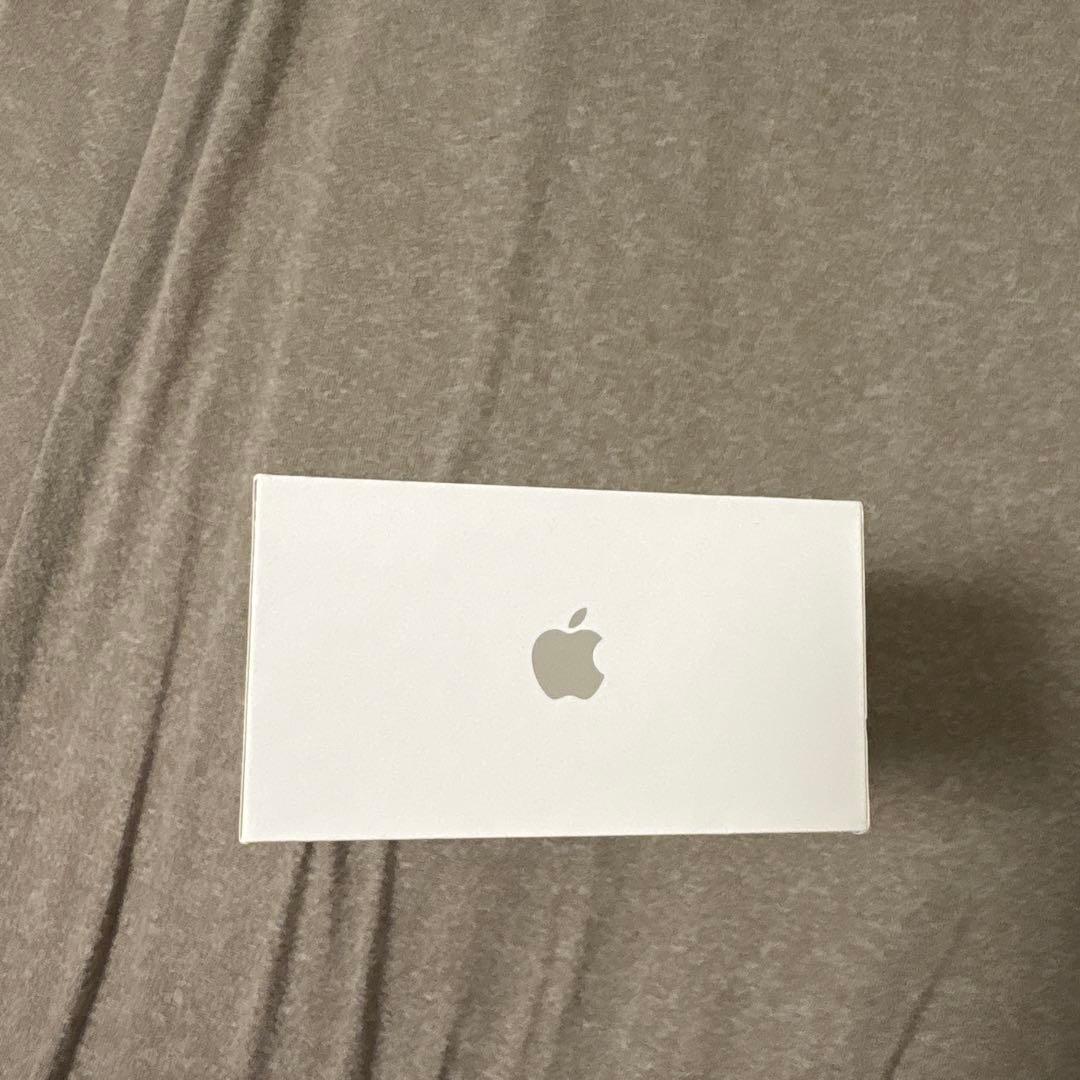 Apple AirPods Pro 本体