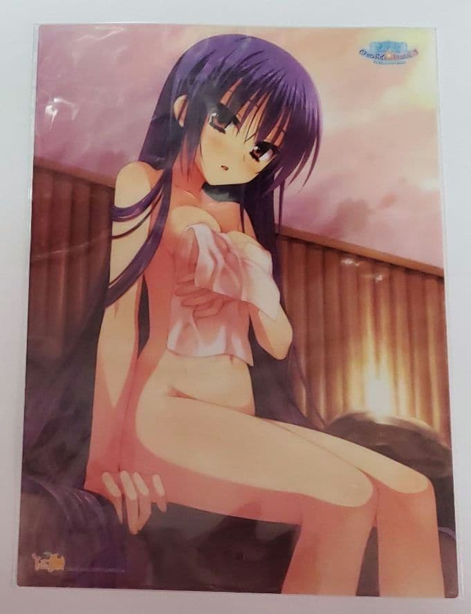 のーぶる☆わーくす クリアポスターコレクション 4枚セット ゆずソフト