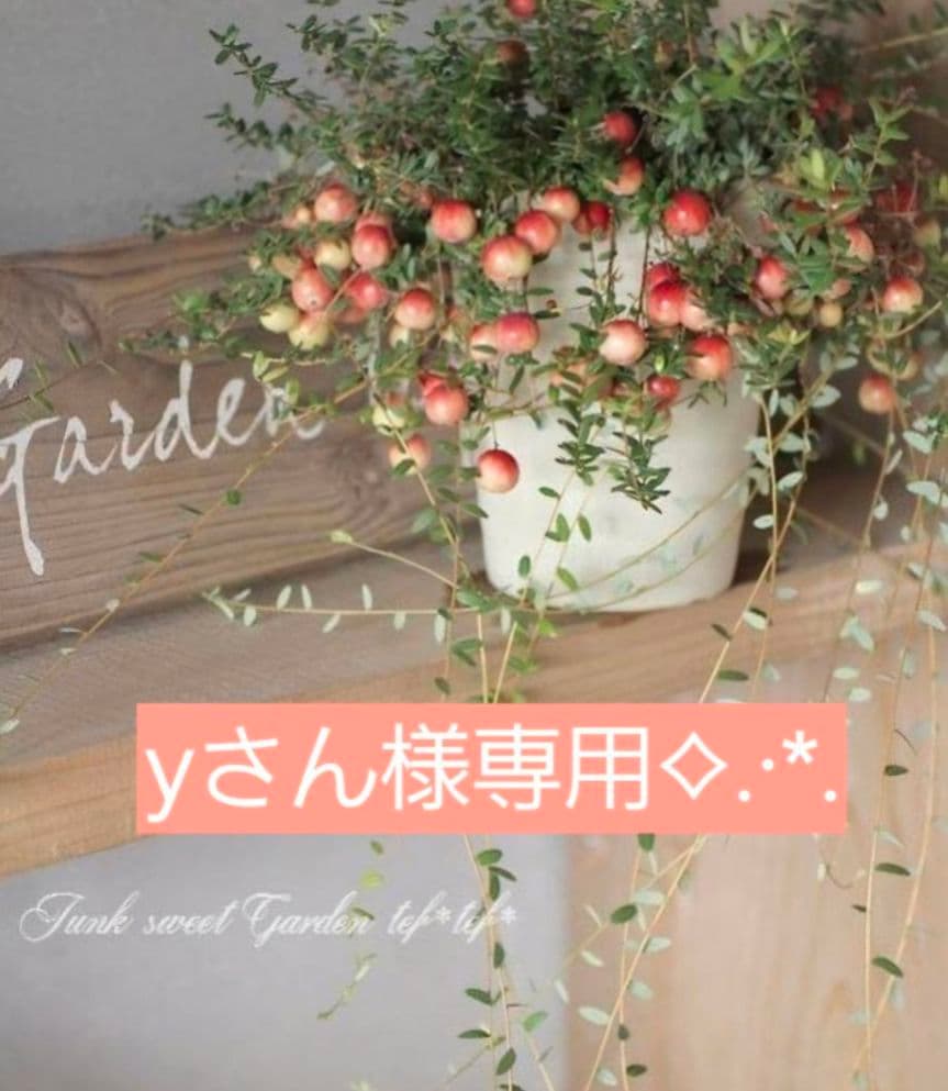 yさんページです♬*°