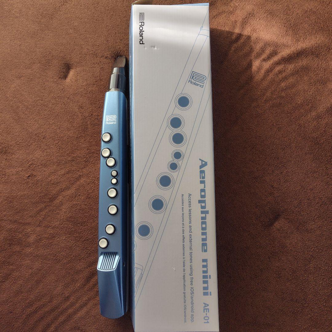 Roland　エアロフォンミニ　AE-01