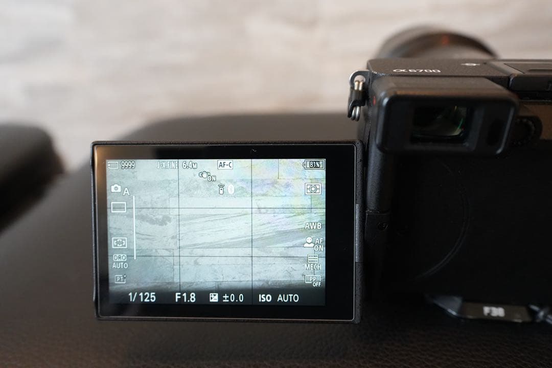 Sony E 24mm F1.8 ZA SEL24F18Z 箱付き 防湿庫保管