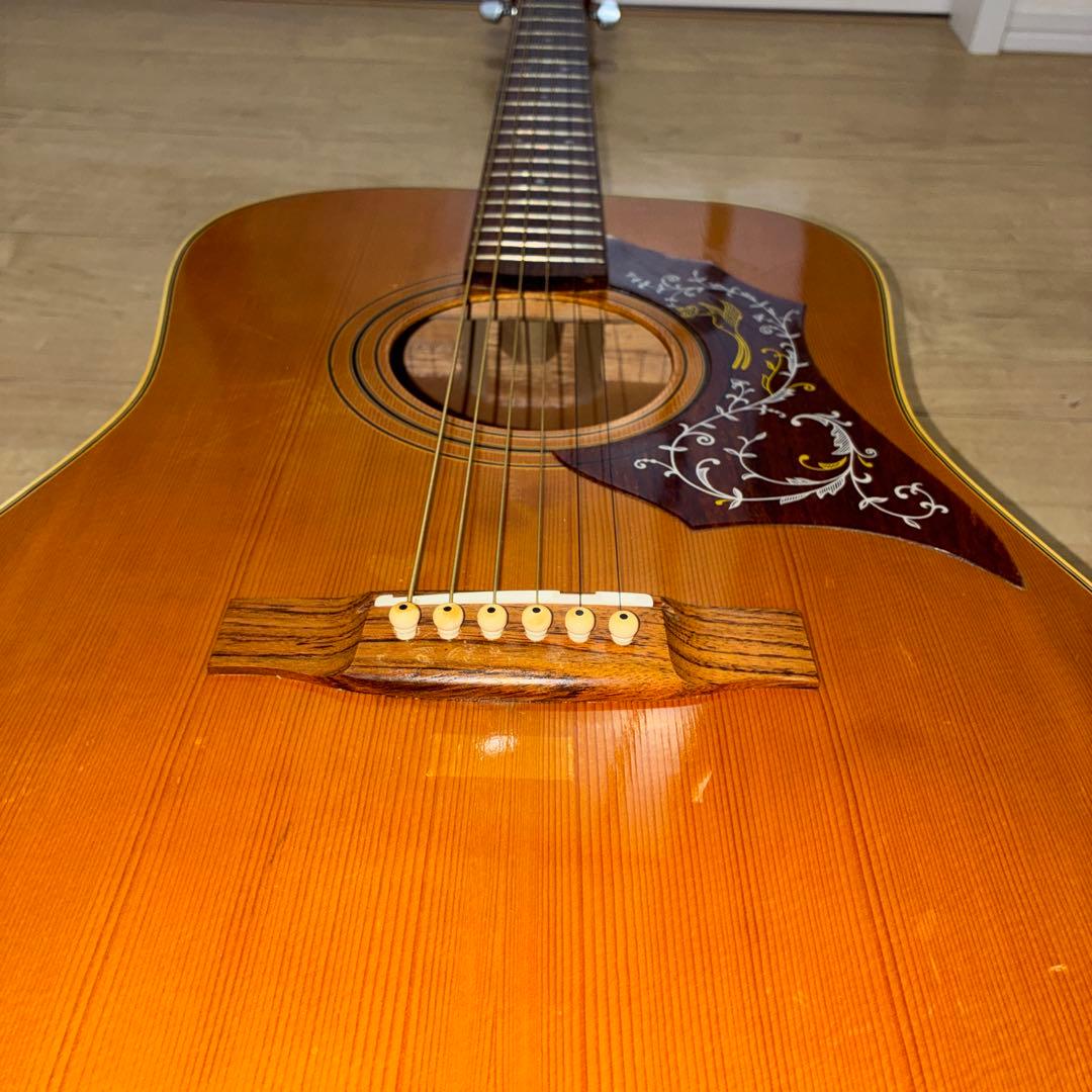 激レア　ZENON roje 全音　アコースティックギター　ハミングバードタイプ