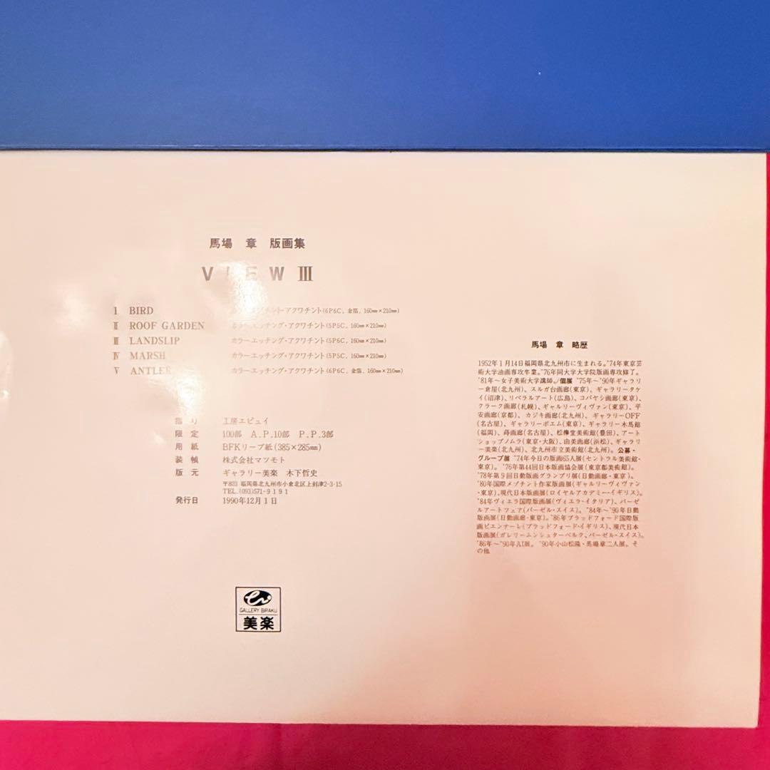 2215様感謝‼️世界観かわる‼️真作馬場章　銅版画\"VIEW 5部作額一点付