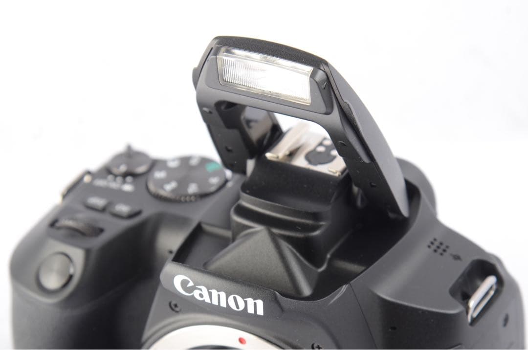 ■ 美品 ■ キヤノン　Canon EOS Kiss X10 ボディ