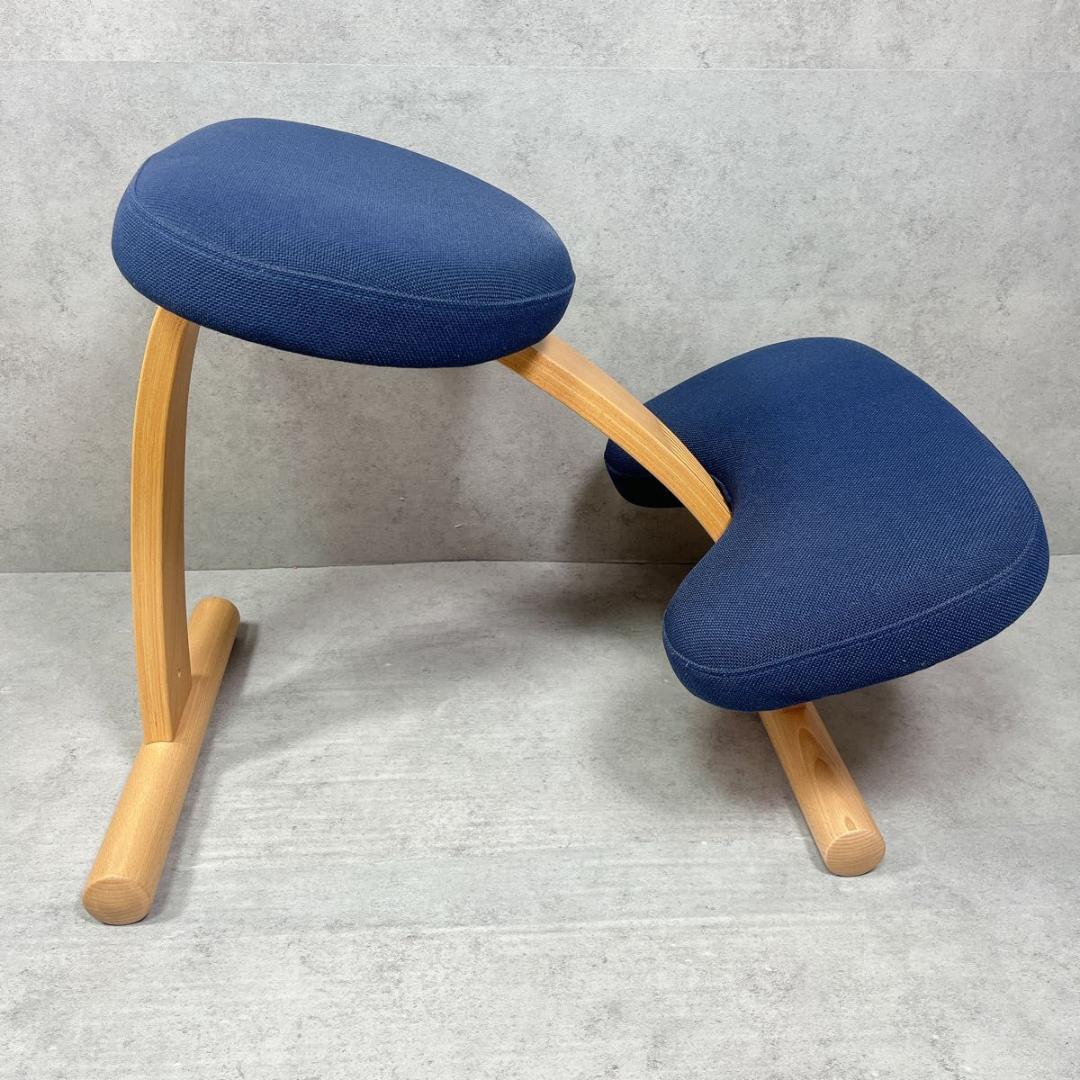 サカモトハウス Sakamoto バランスイージー balans Easy ネイ