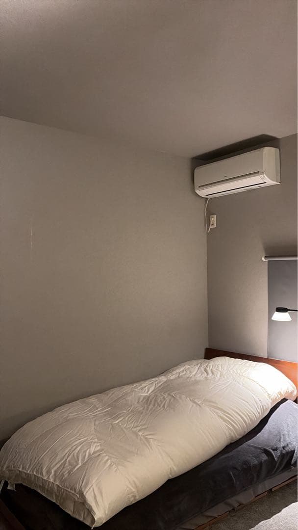 c*o様 羽毛ふとん ポーランド産ホワイトグースダウン93％ クイーンサイズ