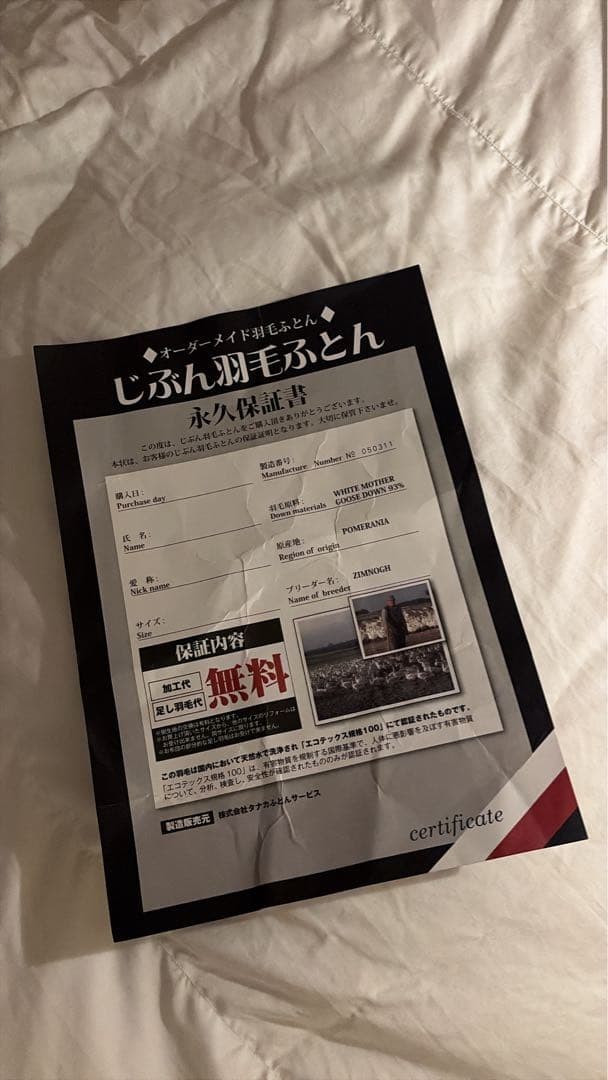 c*o様 羽毛ふとん ポーランド産ホワイトグースダウン93％ クイーンサイズ