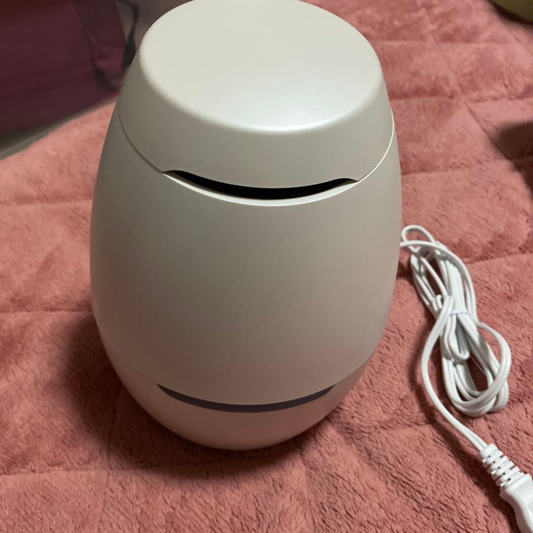 フェイススチーマー ホワイト ミラー付き