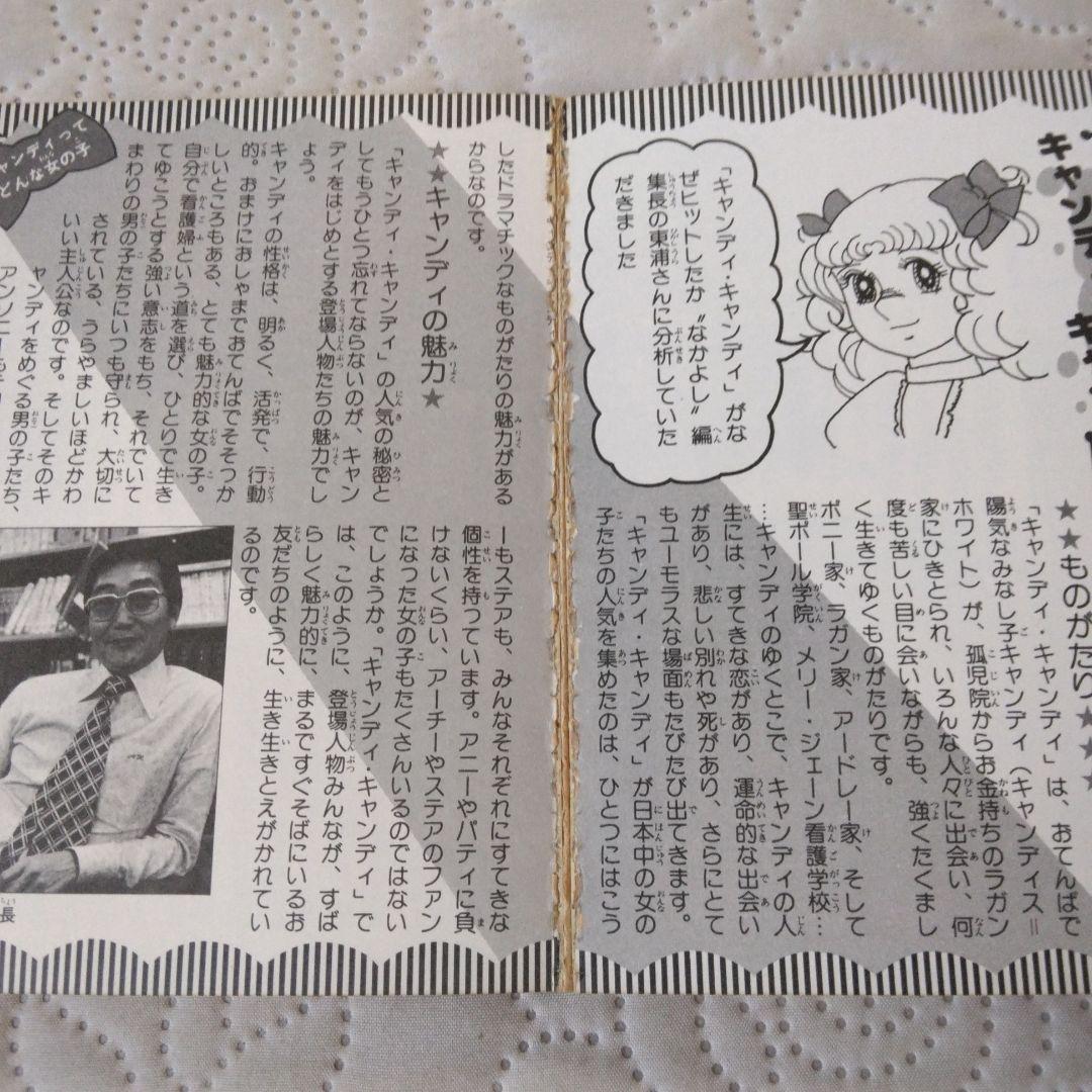 昭和 少女漫画　キャンディ・キャンディ大百科