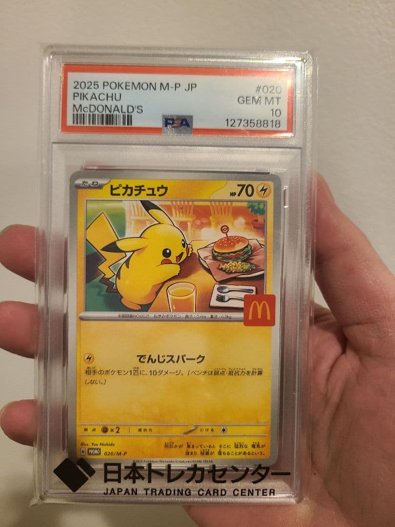 ガラルの仲間たち などなど写真全て