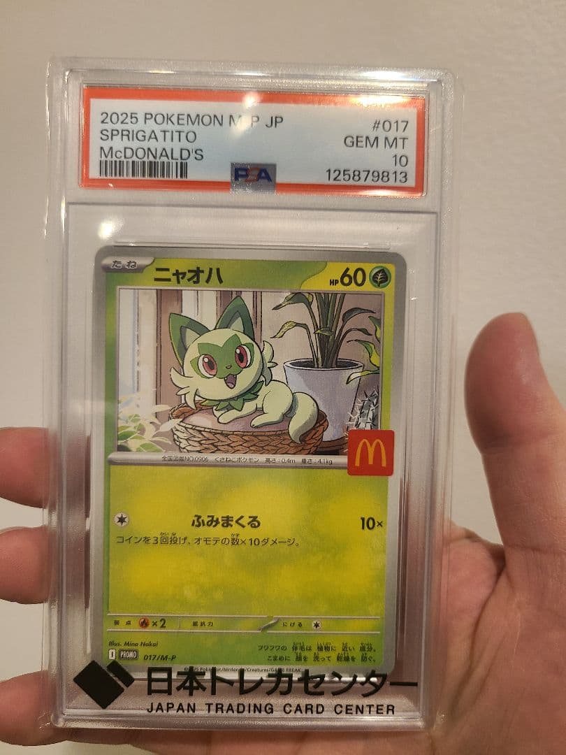 ガラルの仲間たち などなど写真全て