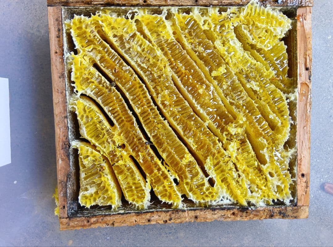 南国土佐の百花蜜　ニホンミツバチ蜂蜜2400g　無添加　無加工　たれ蜜