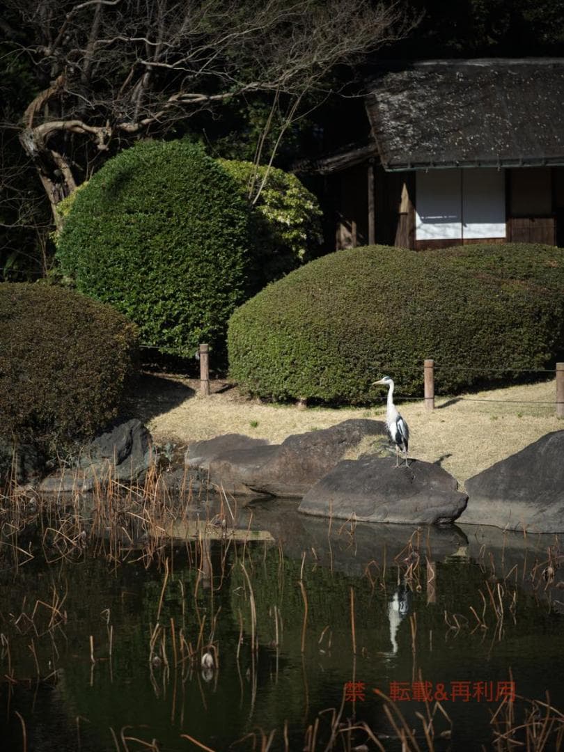 LEICA APO TELYT 180mm F3.4(完動・作例あり)